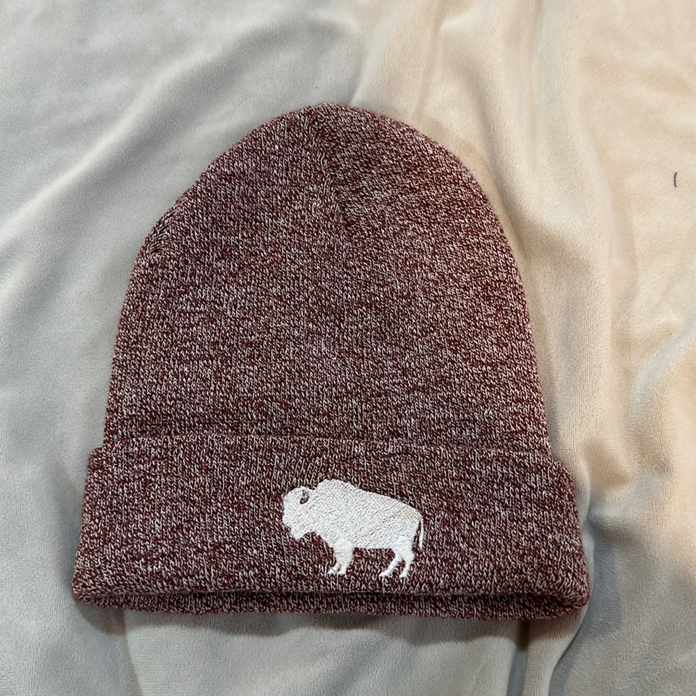 Wyoming beanie